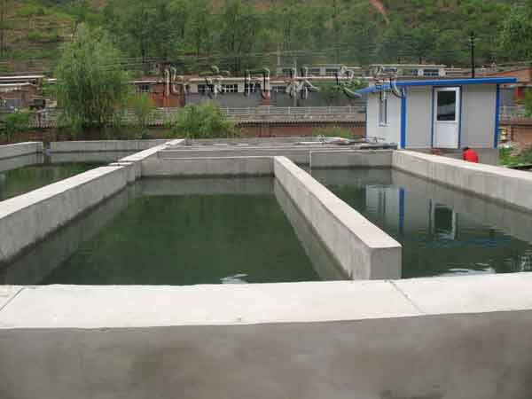 臭氧發生器消毒