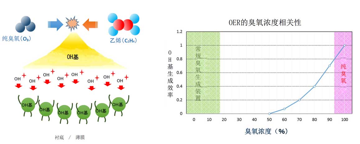 高濃度超純臭氧發生器(連續供給類型)(圖2)
